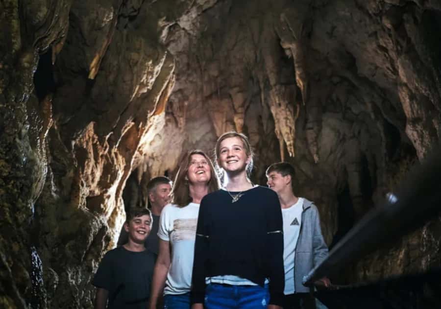 From Auckland: Day Trip to Waitomo Glow Worm Caves - The silent boat cruise beneath the glowing ceiling