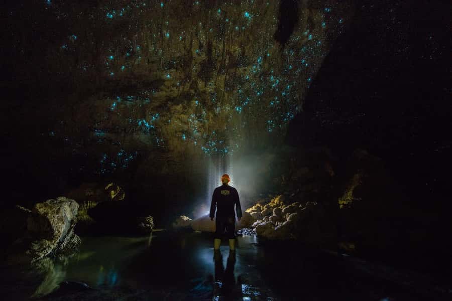 From Auckland: Day Trip to Waitomo Glow Worm Caves - What the guide service adds to the day