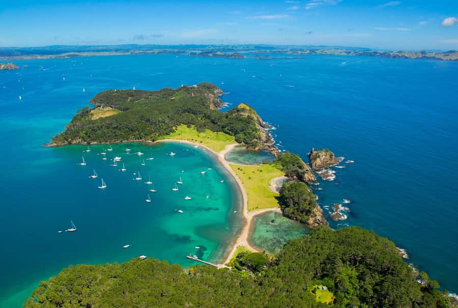 From Auckland: Full-Day Tour to the Bay of Islands - What this Auckland to Bay of Islands tour is really like