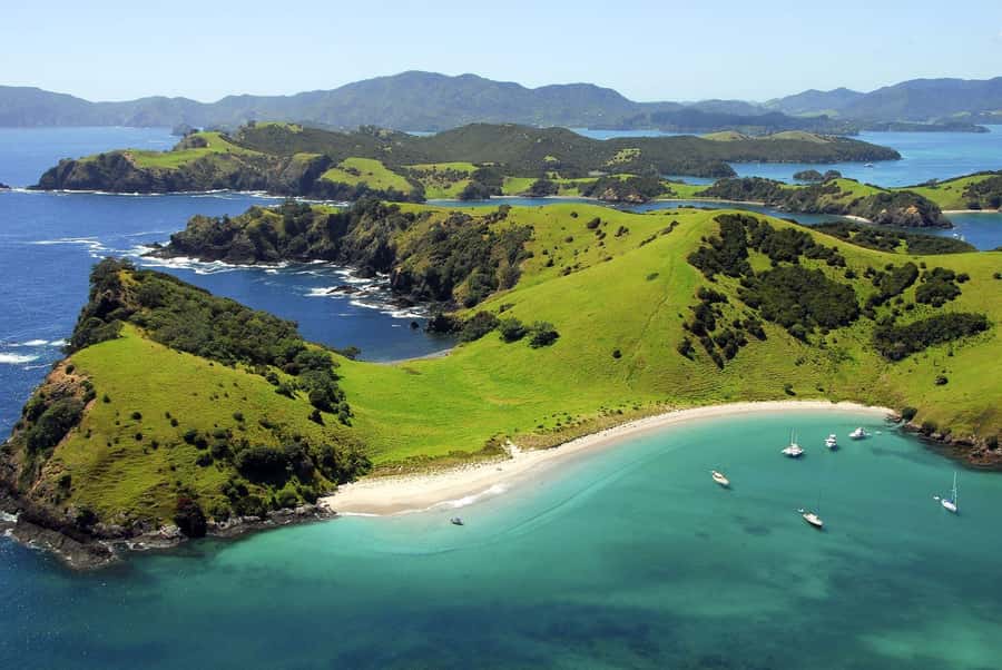 From Auckland: Full-Day Tour to the Bay of Islands - Paihia and the start of the catamaran cruise