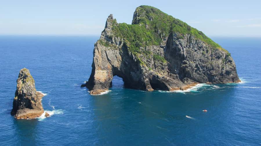 From Auckland: Full-Day Tour to the Bay of Islands - Urupukapuka Island: beach time with a clock running