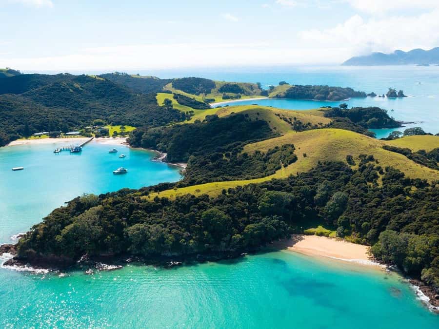 From Auckland: Full-Day Tour to the Bay of Islands - Lunch, snacks, and the short break