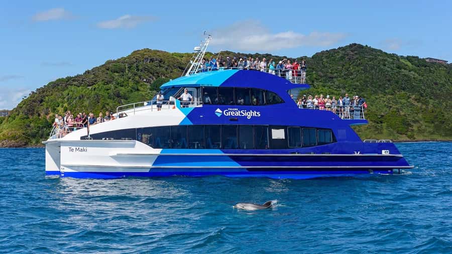 From Auckland: Full-Day Tour to the Bay of Islands - The return to Auckland