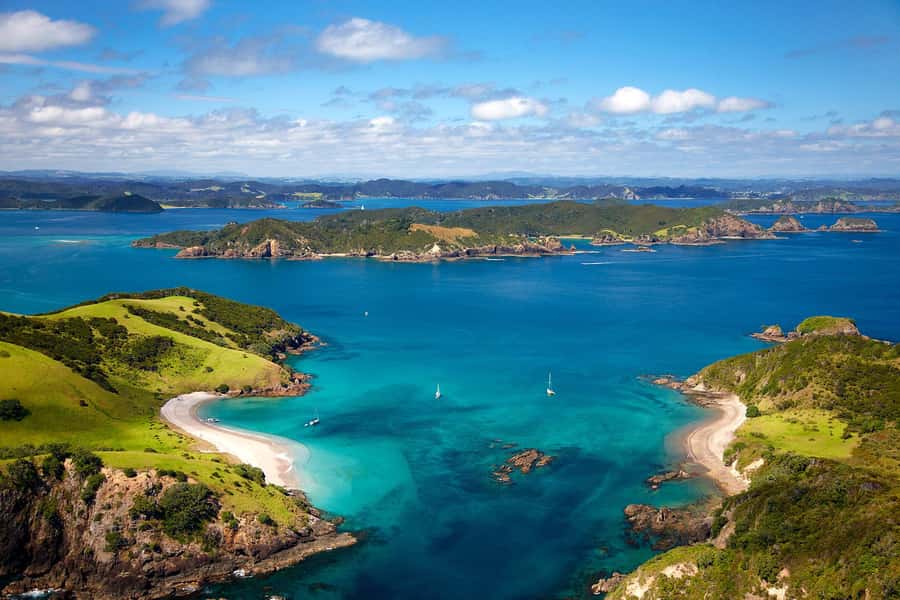 From Auckland: Full-Day Tour to the Bay of Islands - The three-hour road north from Auckland