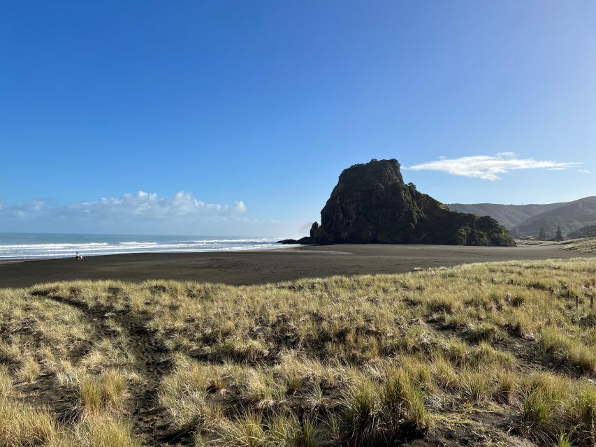 From Auckland: Guided Tour of Piha with Scenic Beach Walks - Who should book this Piha experience?