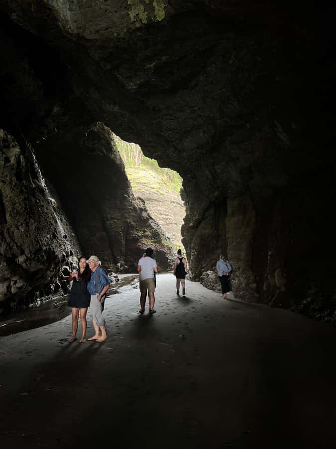 From Auckland: Guided Tour of Piha with Scenic Beach Walks - Leaving Auckland for the Waitakere Ranges