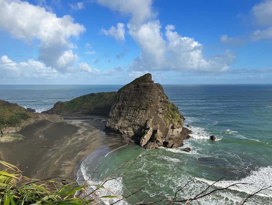 From Auckland: Guided Tour of Piha with Scenic Beach Walks - North Piha’s forest loop and birdlife