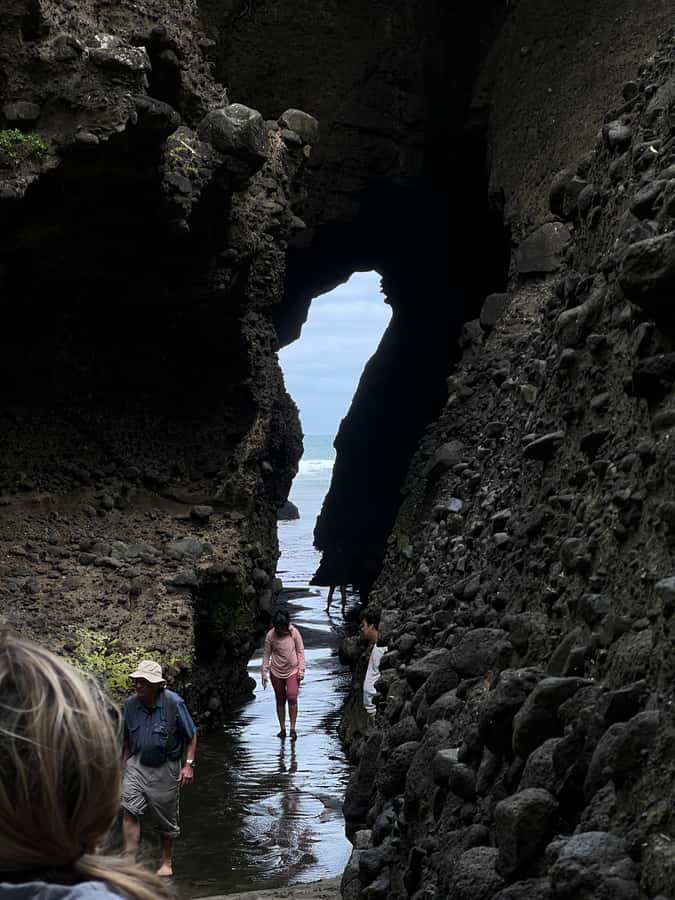 From Auckland: Guided Tour of Piha with Scenic Beach Walks - A picnic that keeps the day comfortable