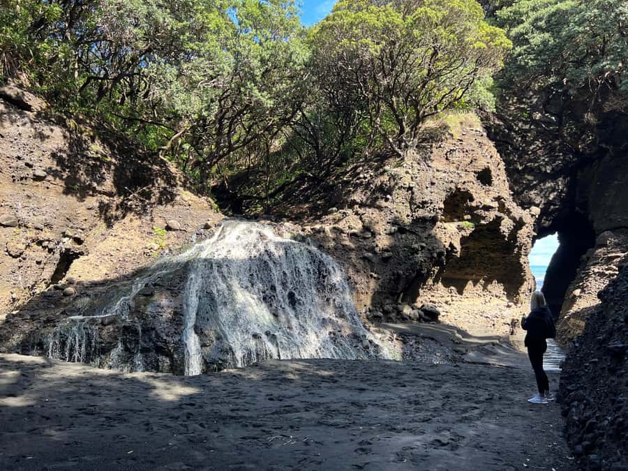From Auckland: Guided Tour of Piha with Scenic Beach Walks - What the 6.5-hour schedule feels like