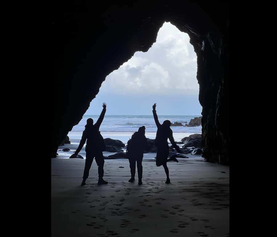 From Auckland: Guided Tour of Piha with Scenic Beach Walks - Transport, guide, and group size