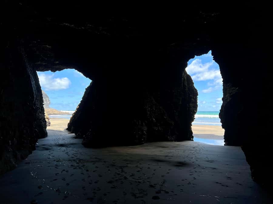 From Auckland: Guided Tour of Piha with Scenic Beach Walks - Is this good value?
