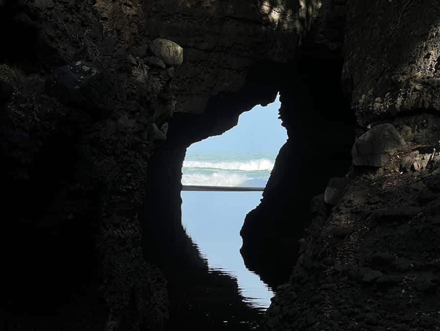 From Auckland: Guided Tour of Piha with Scenic Beach Walks - High lookouts above Auckland Harbour