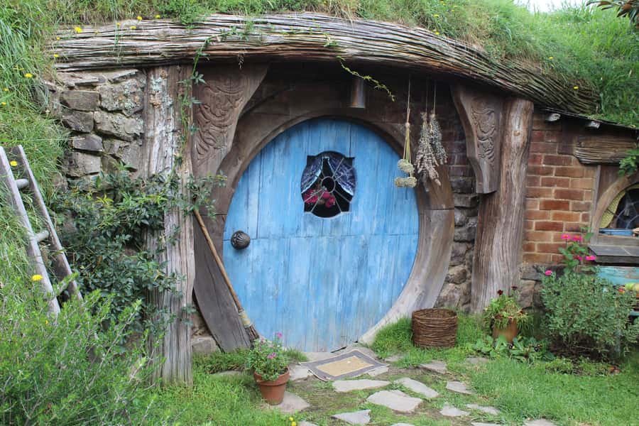 From Auckland: Hobbiton Afternoon Tour - Practical tips for a smoother day