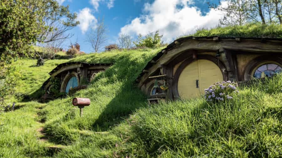 From Auckland: Hobbiton Afternoon Tour - Why the later 11am departure matters
