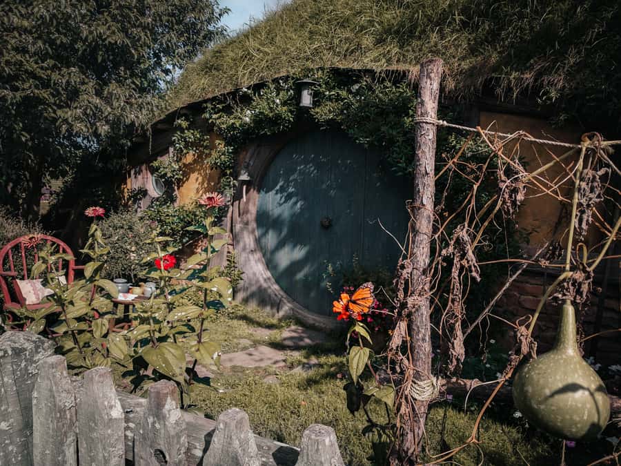 From Auckland: Hobbiton Afternoon Tour - Arriving at Shire’s Rest