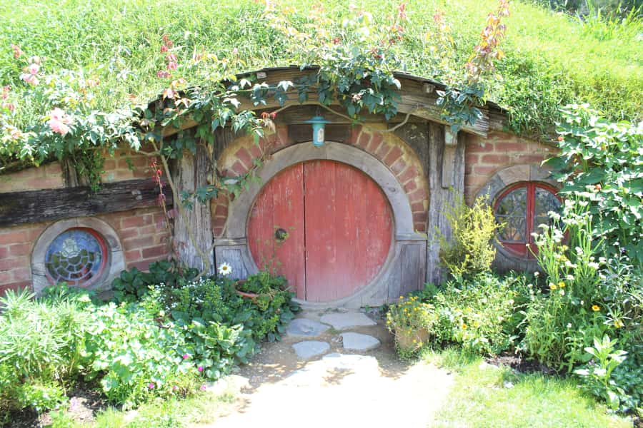 From Auckland: Hobbiton Afternoon Tour - The return to Auckland