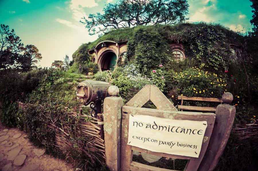 From Auckland: Hobbiton Afternoon Tour - The minibus ride through Waikato country