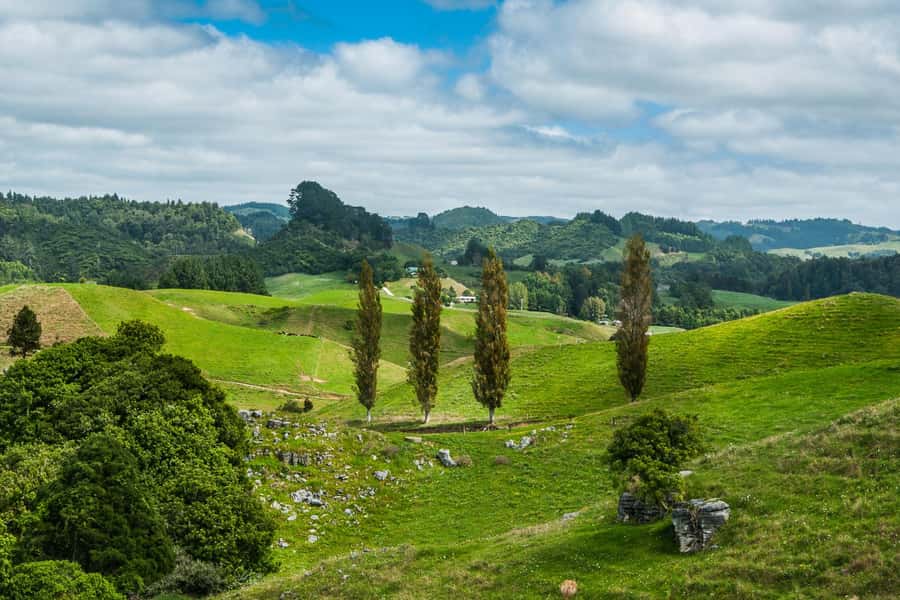 From Auckland: Hobbiton and Waitomo Day Tour with Lunch - An early Auckland pickup and a long ride south