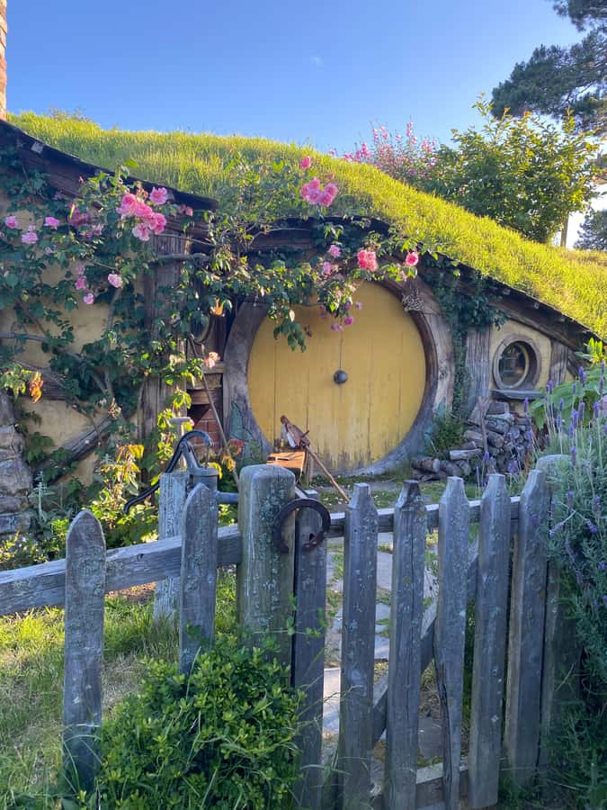From Auckland: Hobbiton & Hamilton Gardens Small Group Tour - The return to Auckland and the day’s pace