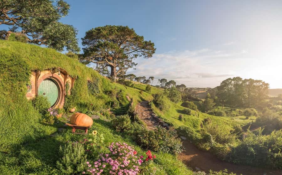 From Auckland: Hobbiton Movie Set Day Tour with Picnic Lunch - Key points at a glance