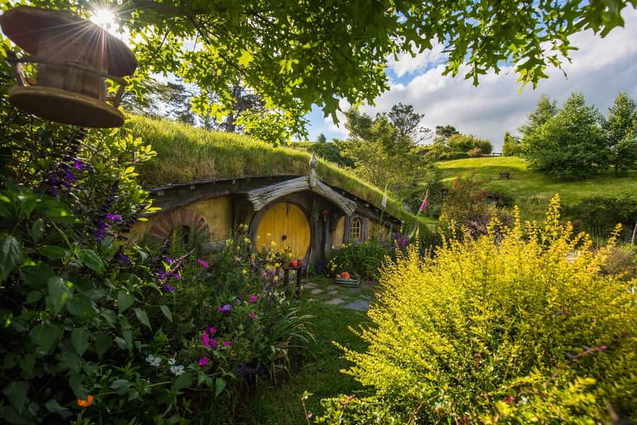 From Auckland: Hobbiton Movie Set Full-Day Small-Group Trip - Entering the Shire at Hobbiton