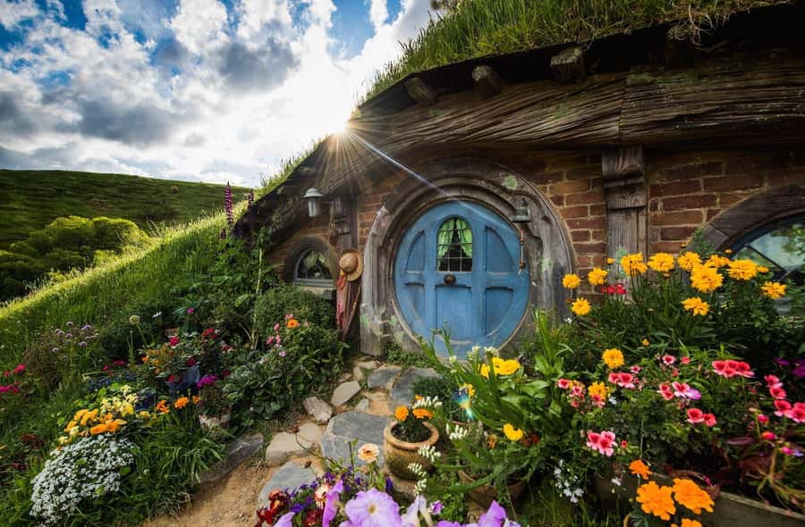 From Auckland: Hobbiton Movie Set - Private Tour - Key points before you book