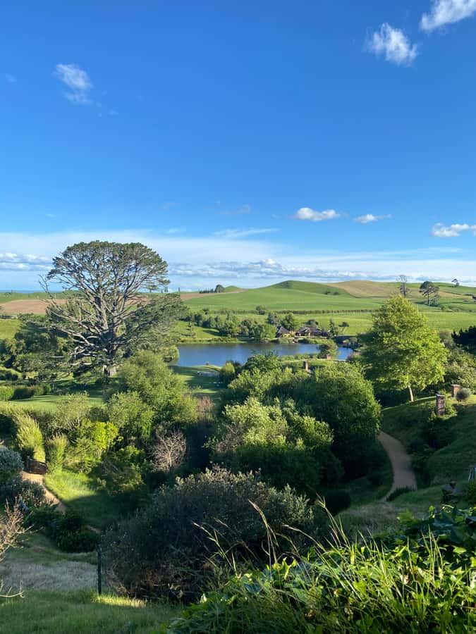 From Auckland: Hobbiton Movie Set - Private Tour - A toast at the Green Dragon Inn