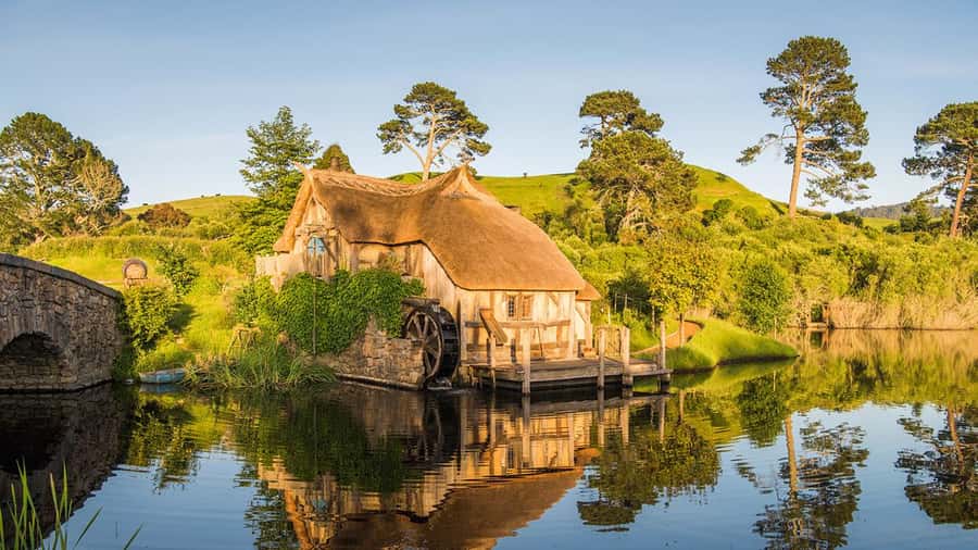 From Auckland: Hobbiton Movie Set Small Group Tour - Walking through 44 Hobbit Holes