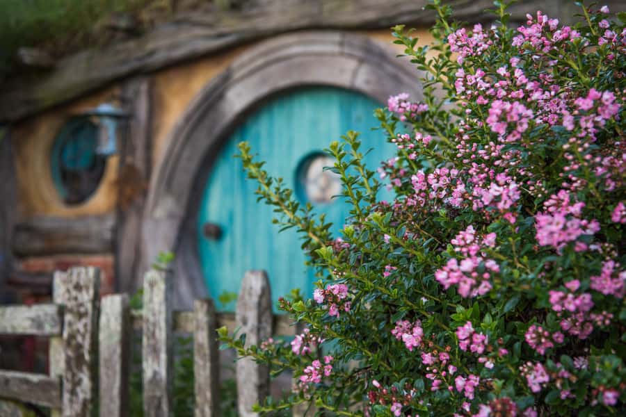 From Auckland: Hobbiton Movie Set Trip with Guided Tour - A drink at The Green Dragon Inn