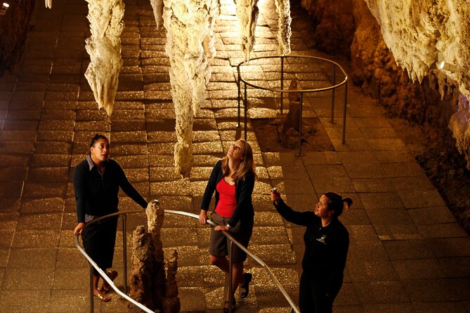 From Auckland:Hobbiton Movie Set & Waitomo Caves Small Group Tour - The return to Auckland and the final sightseeing