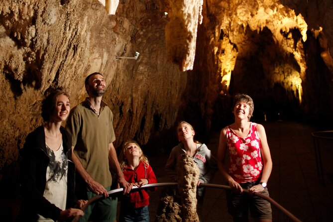 From Auckland:Hobbiton Movie Set & Waitomo Caves Small Group Tour - Under the ground at Waitomo Glowworm Caves