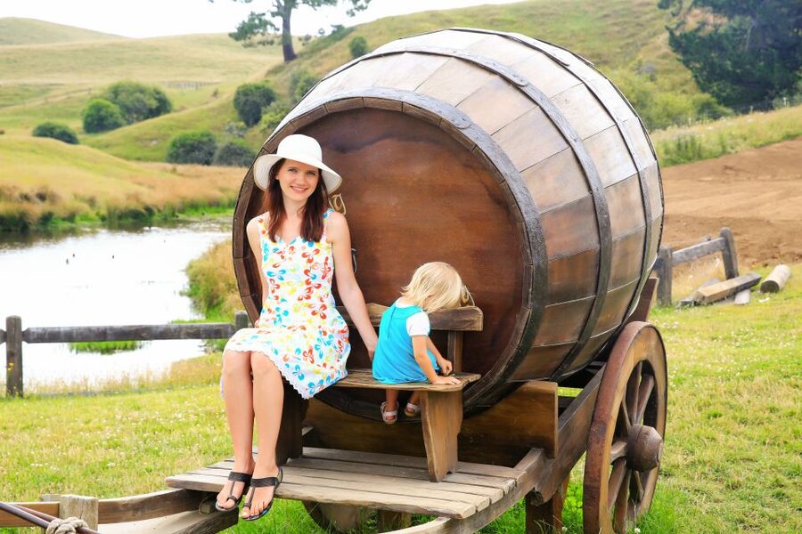From Auckland: Hobbiton & Rotorua Tour with Lunch at Te Puia - Practical verdict: should you book it?