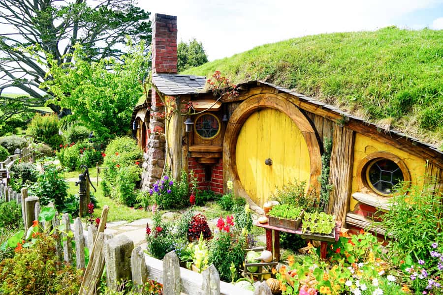 From Auckland: Hobbiton & Rotorua Tour with Lunch at Te Puia - Te Puia in Rotorua: Māori culture and geothermal power