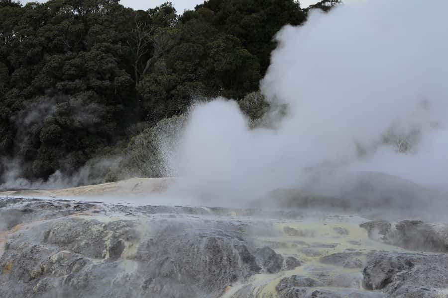 From Auckland: Hobbiton & Rotorua Tour with Lunch at Te Puia - The included buffet lunch at Te Puia
