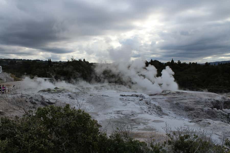 From Auckland: Hobbiton & Rotorua Tour with Lunch at Te Puia - The small-group vehicle and comfort tradeoff