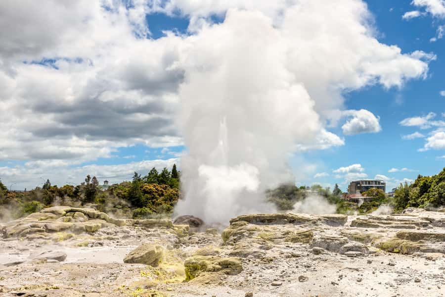 From Auckland: Hobbiton & Rotorua Tour with Lunch at Te Puia - Auckland return or one-way drop-off in Rotorua
