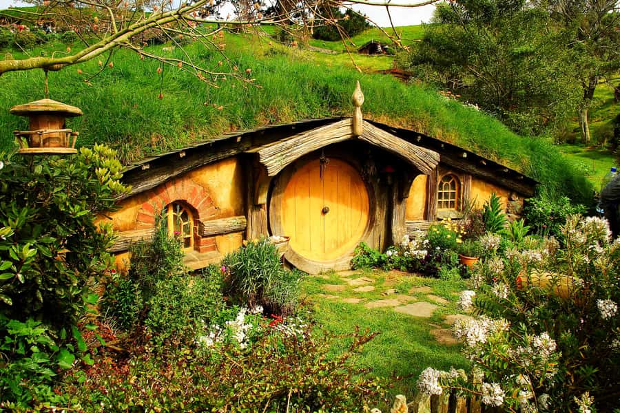 From Auckland: Hobbiton & Rotorua Tour with Lunch at Te Puia - Who will enjoy this day most?