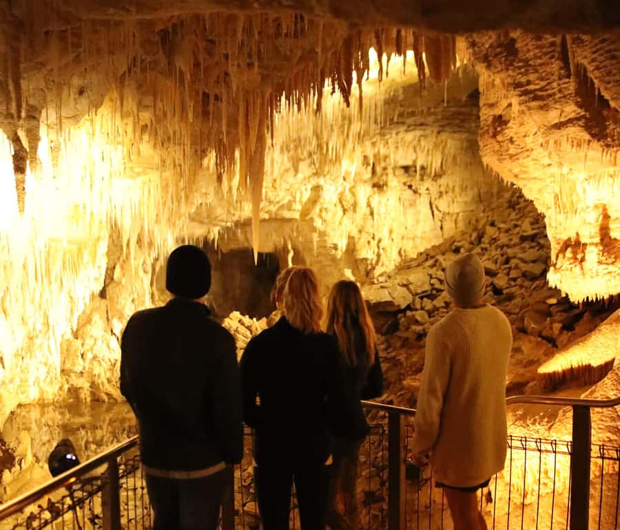 From Auckland: Hobbiton & Waitomo Caves Full-Day Trip - Lunch, timing, and the long return to Auckland