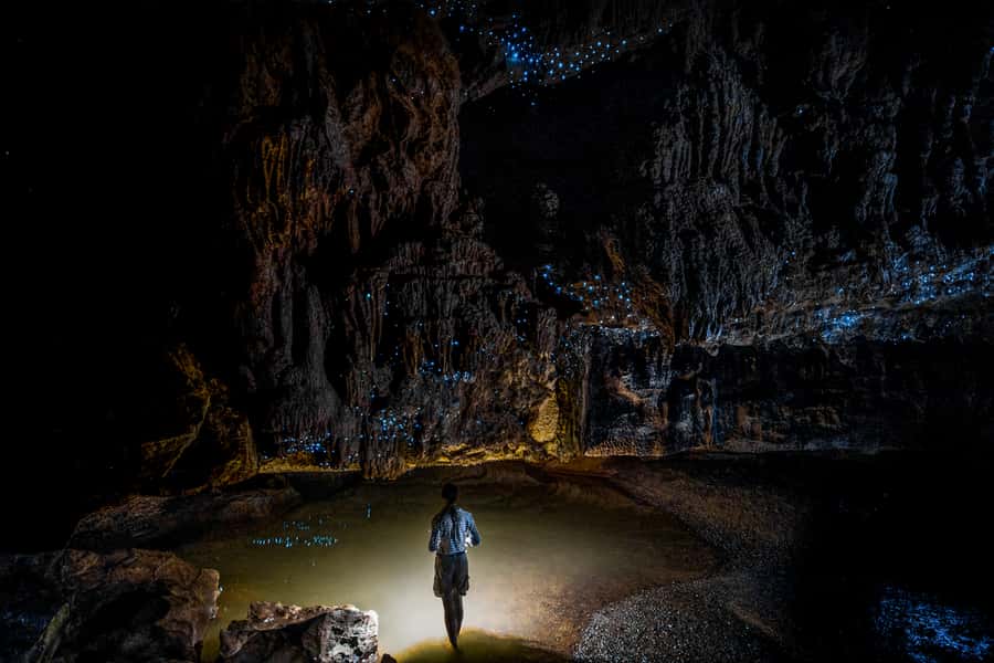 From Auckland or Rotorua: Hobbiton & Waitomo Tour with Lunch - Key details that shape the day