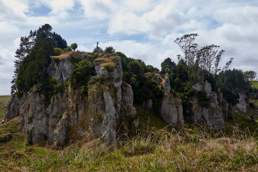 From Auckland or Rotorua: Hobbiton & Waitomo Tour with Lunch - Waitomo’s 45-minute cave visit