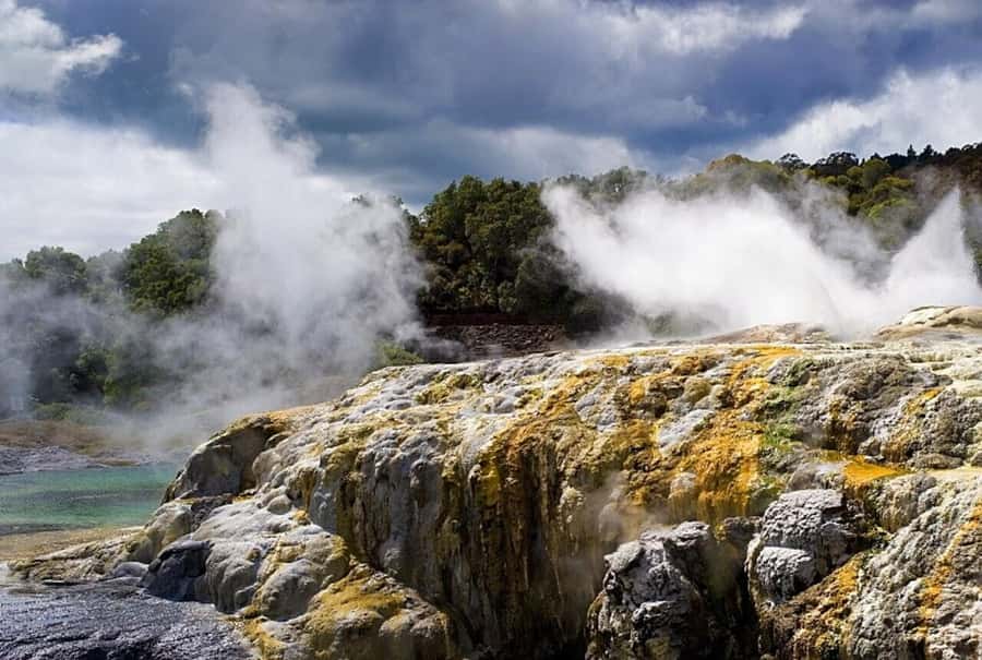 From Auckland: Rotorua Māori Village & Hot Springs with Haka - Whakarewarewa Village and Māori life beside the hot springs