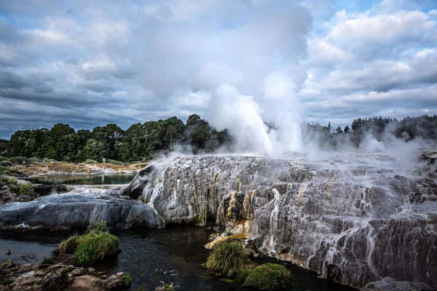 From Auckland: Rotorua Te Puia, Haka & Polynesian Spa Tour - Key points to know before booking