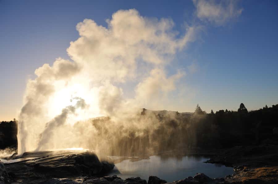From Auckland: Rotorua Te Puia, Haka & Polynesian Spa Tour - Te Puia’s steam, mud, and Pohutu Geyser