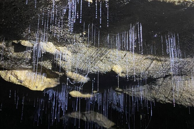 From Auckland: Spellbound, Waitomo Glowworm Cave Small Group Tour - Why the Waitomo trip is worth the road time