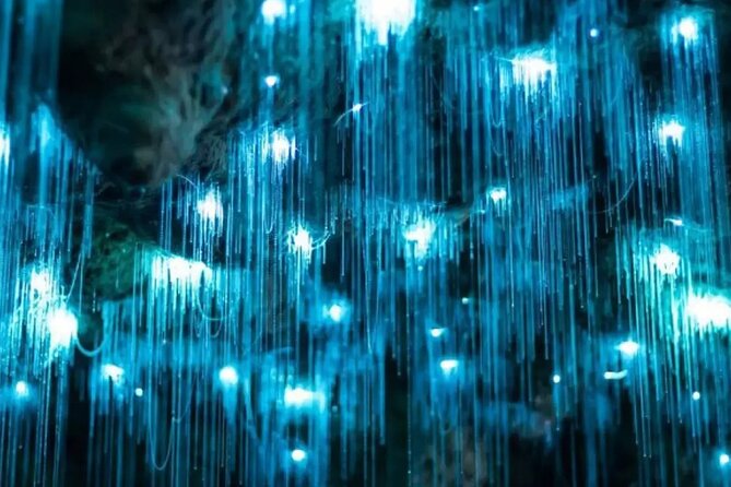 From Auckland: Spellbound, Waitomo Glowworm Cave Small Group Tour - The second cave: formations, fossils, and cooler air