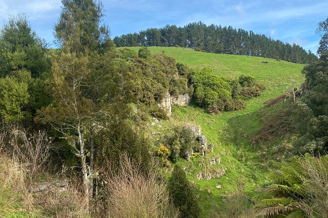From Auckland: Spellbound, Waitomo Glowworm Cave Small Group Tour - The return to Auckland and the real timing