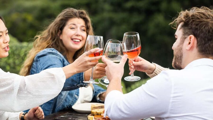 From Auckland: Taste Of Waiheke Island Day Tour - Is $173 a Fair Price?