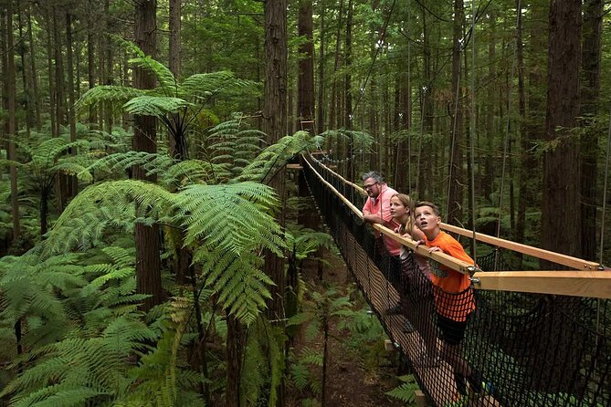 From Auckland to Rotorua Waiotapu and Activity Combinations - The early drive from Auckland