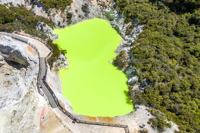 From Auckland to Rotorua Waiotapu and Activity Combinations - How the $210.99 price holds up