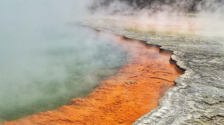 From Auckland: Two-Day Hobbiton, Rotorua, Waitomo Caves Tour - The price: what $806 really covers